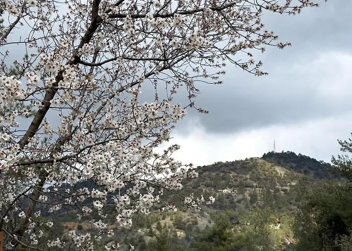 η σπηλιά του θουκυδίδη *